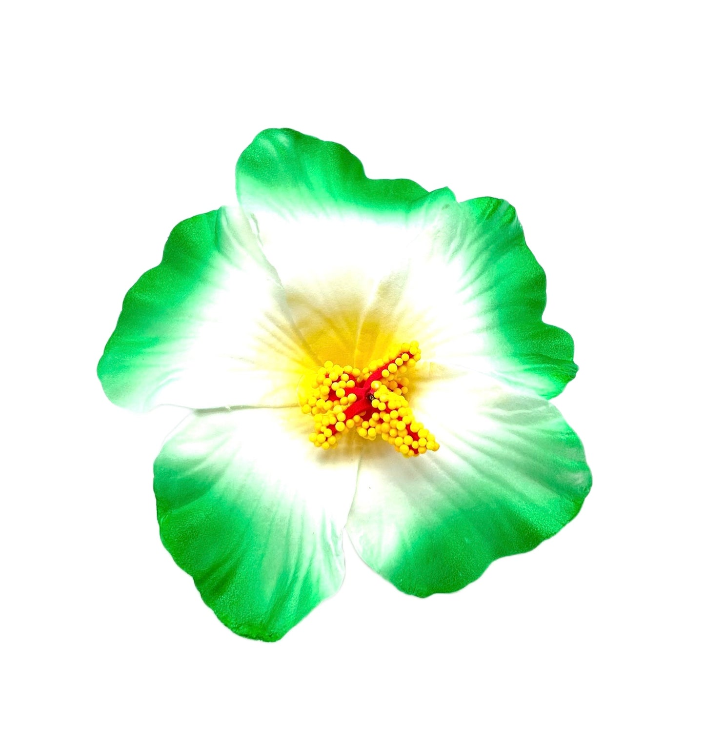 Teki Teki Hibiscus