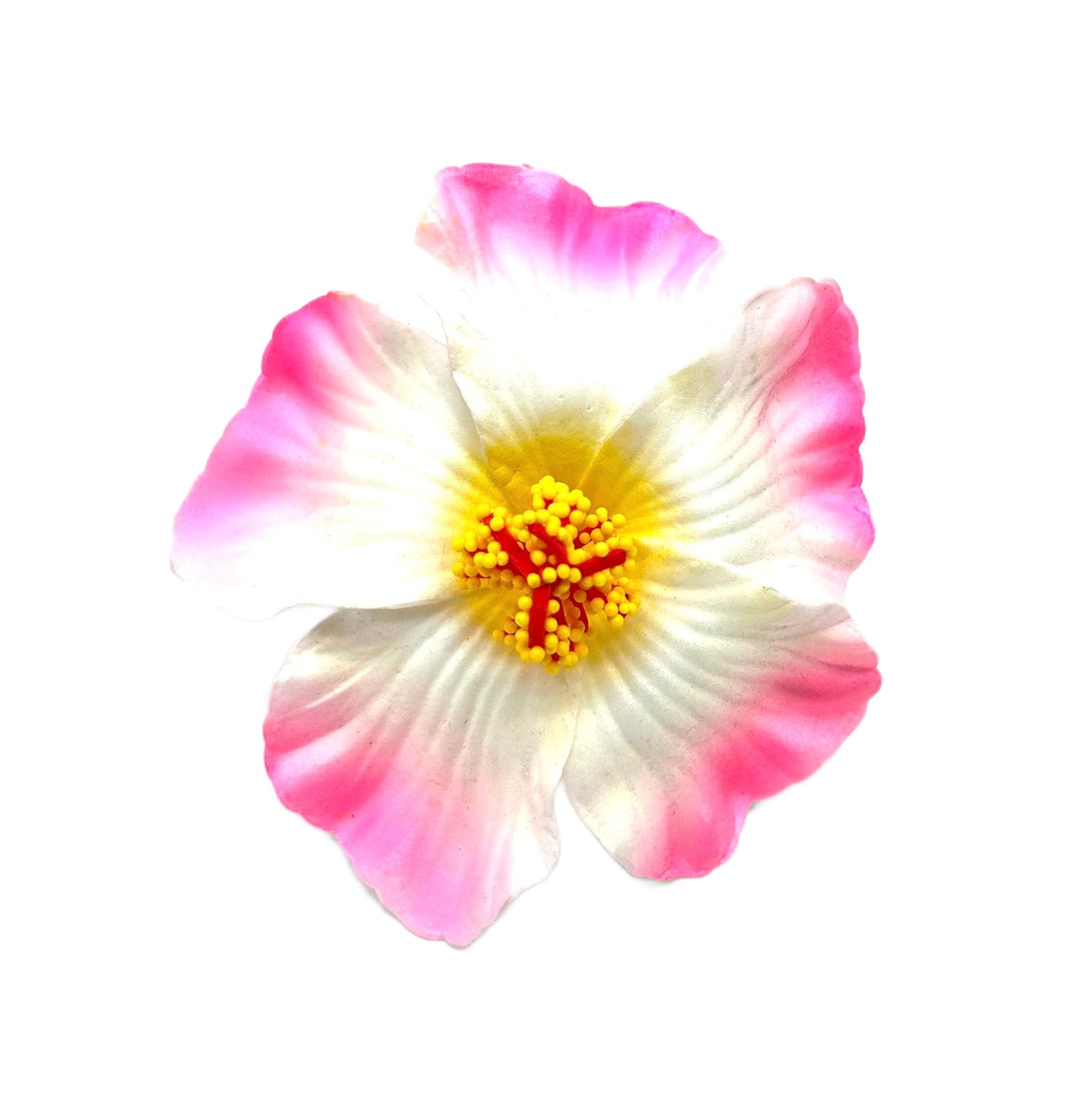 Teki Teki Hibiscus