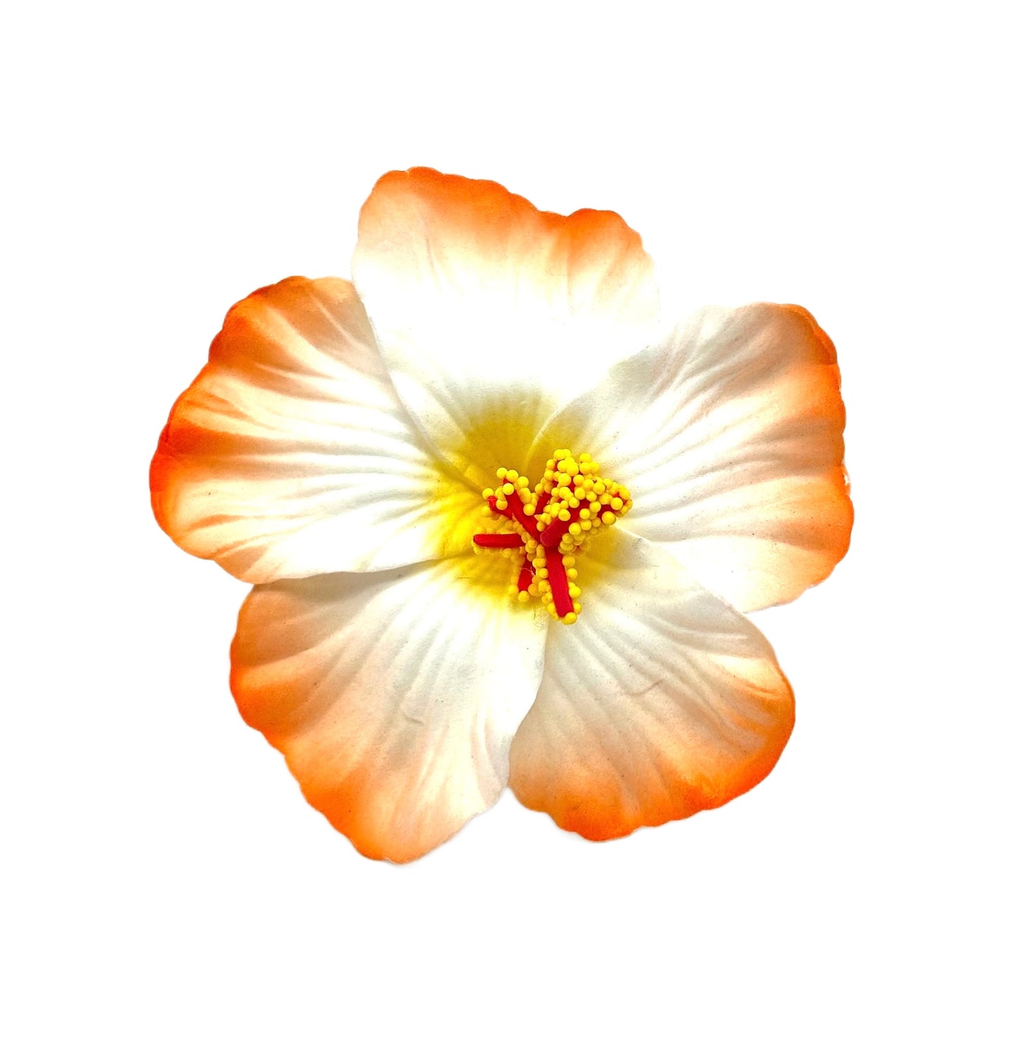 Teki Teki Hibiscus