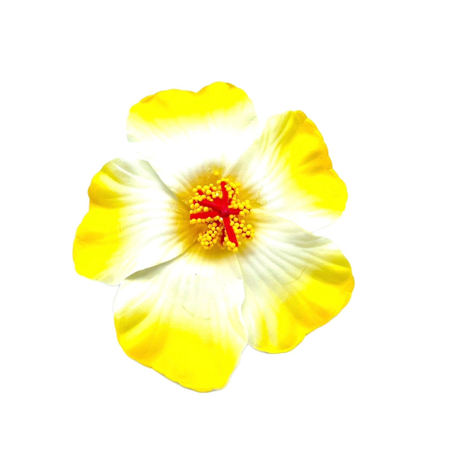 Teki Teki Hibiscus