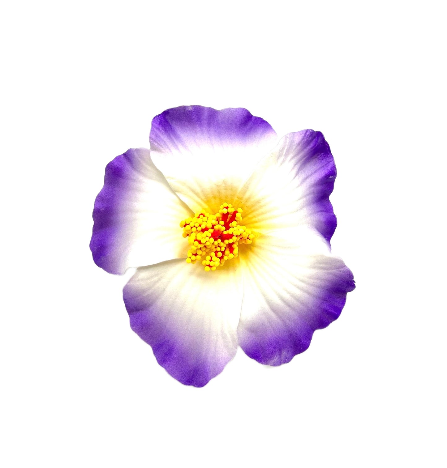 Teki Teki Hibiscus
