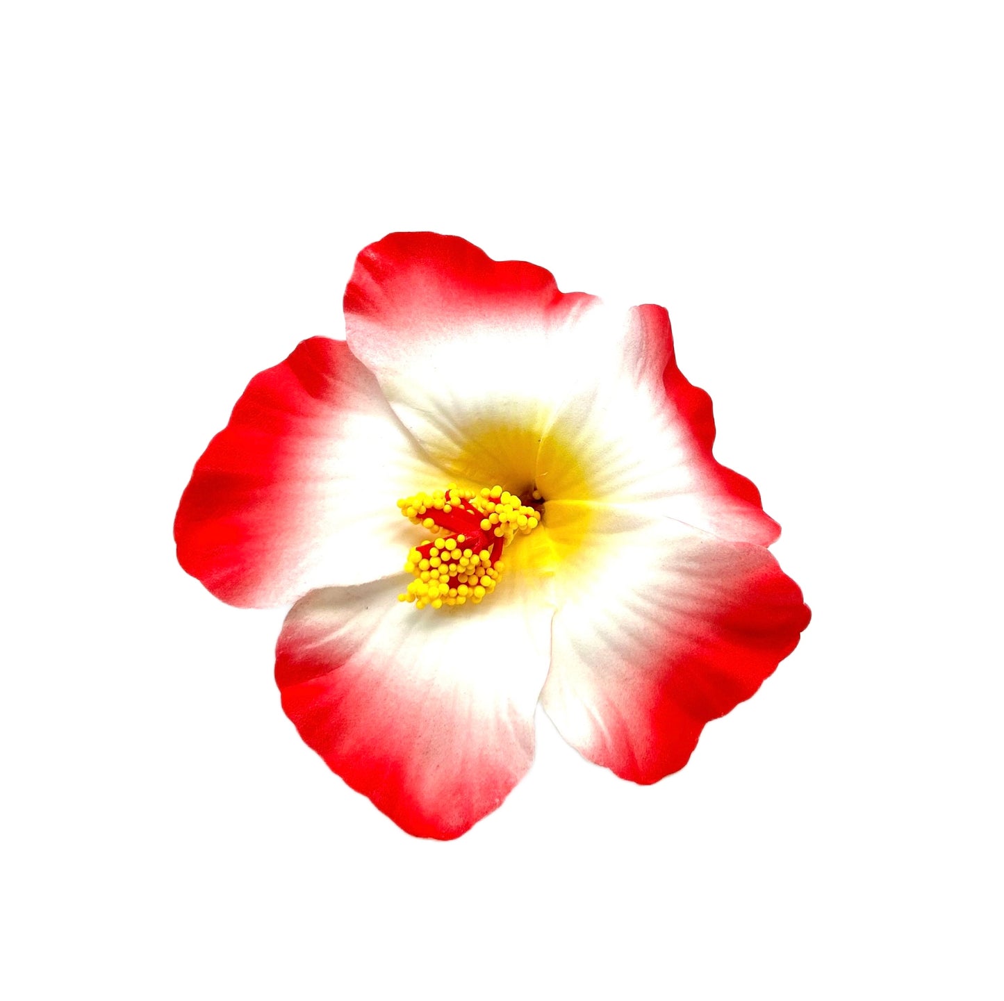 Teki Teki Hibiscus