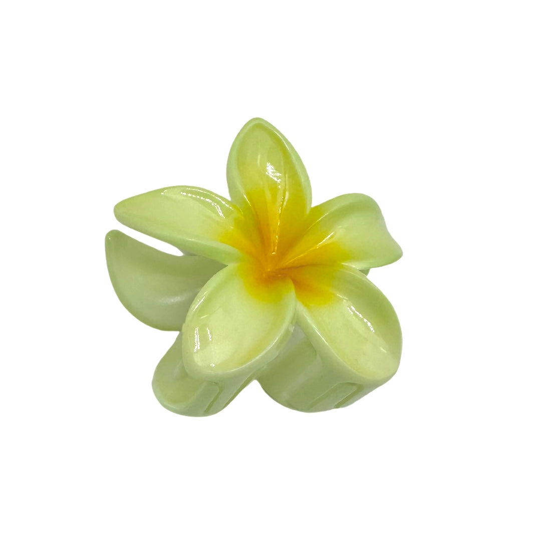 Pince Fleur Pastel en plastique 8cm