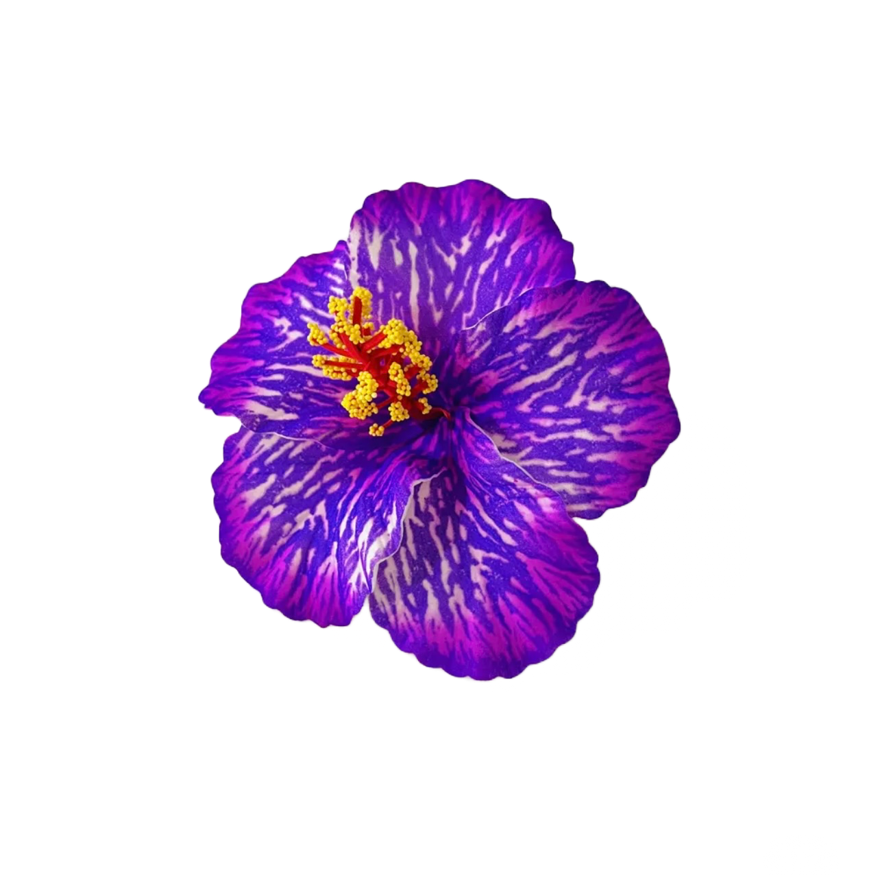 Teki Teki Hibiscus 14cm