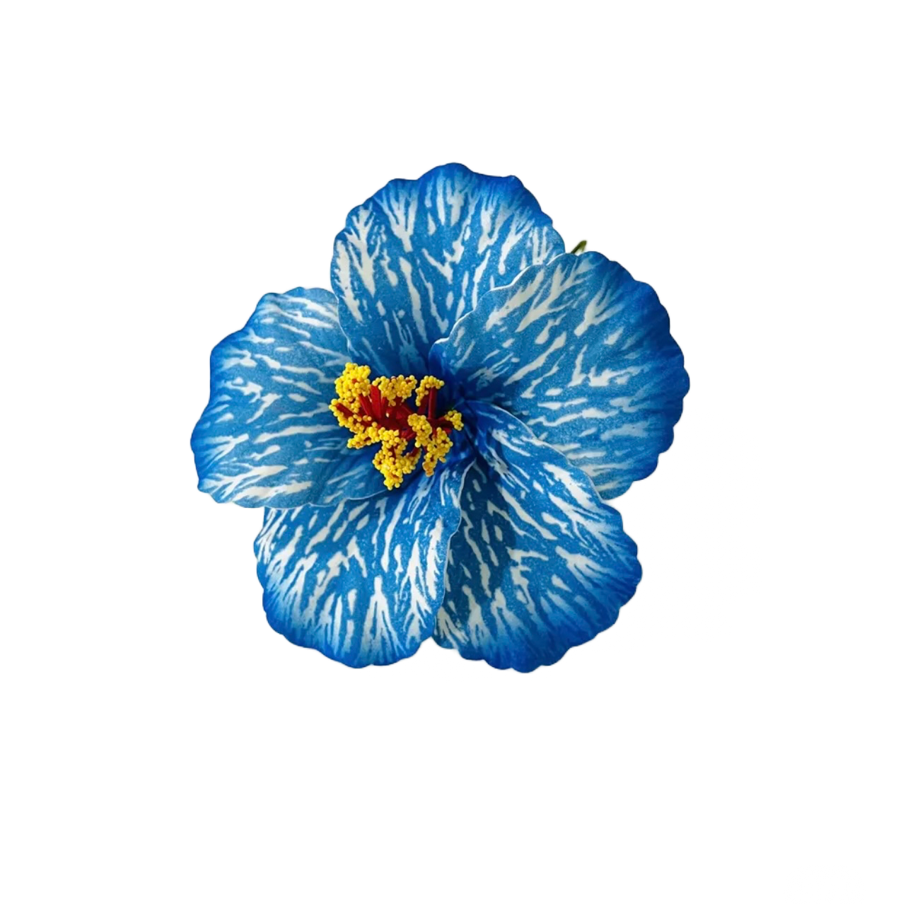 Teki Teki Hibiscus 14cm
