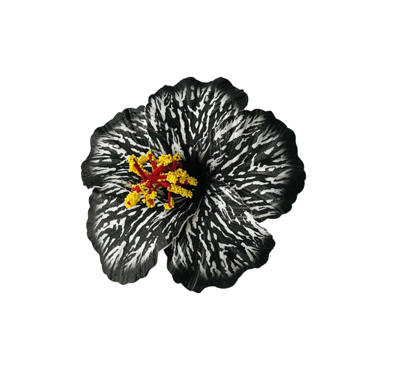 Teki Teki Hibiscus 14cm