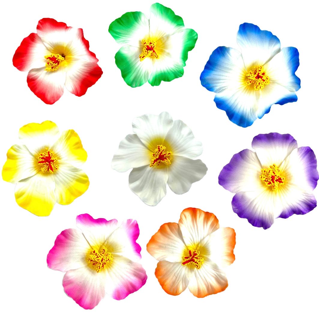 Teki Teki Hibiscus