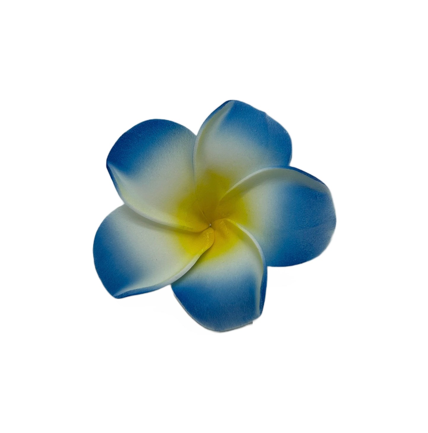 Barrette Frangipanier bleu