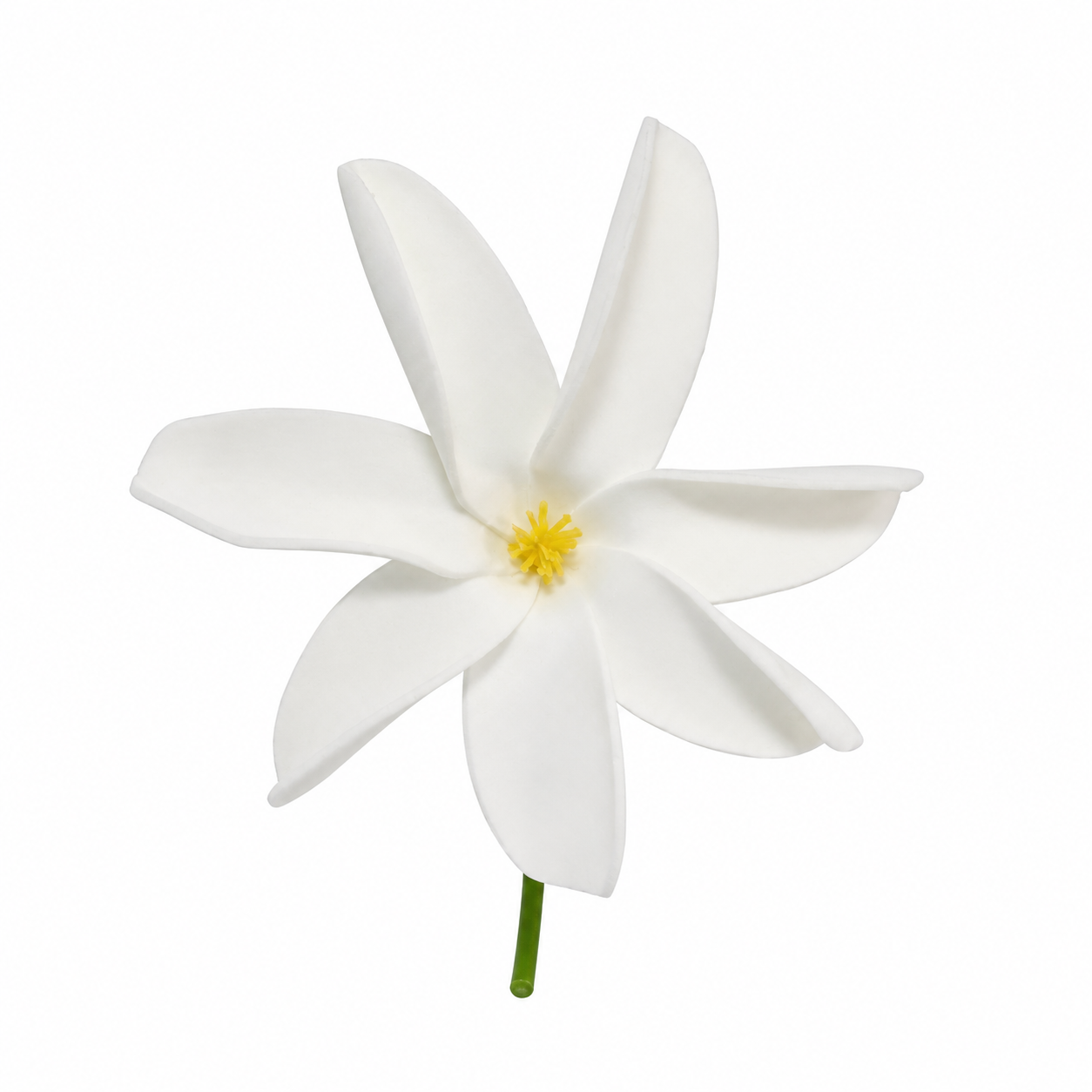 Fleur à tige - Tiare Tahiti - TB08