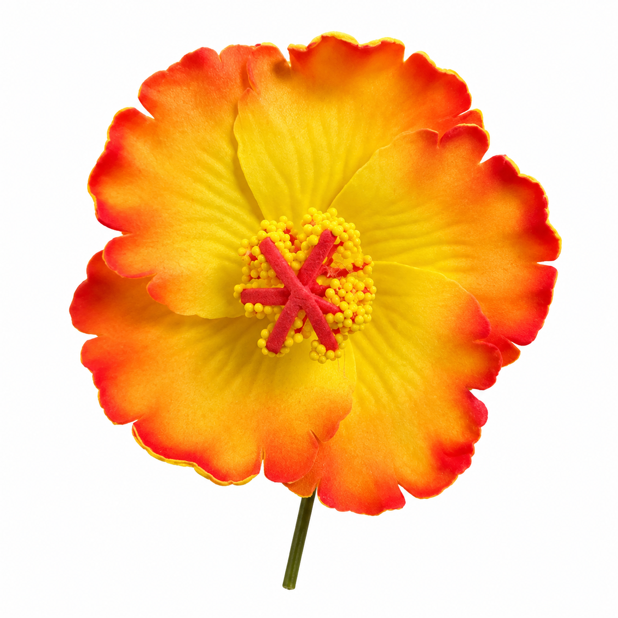 Fleur à tige - Hibiscus HIC0