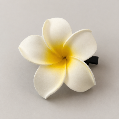 Pince à cheveux - 1 Tipanie