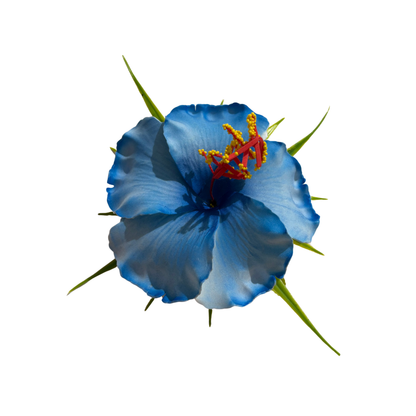 Poara / Barrette à Cheveux Hibiscus