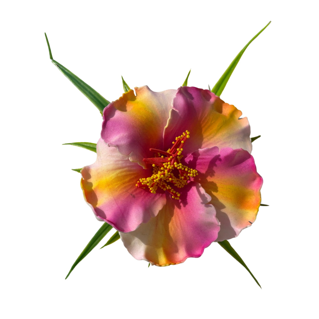 Poara / Barrette à Cheveux Hibiscus