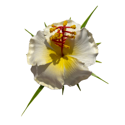 Poara / Barrette à Cheveux Hibiscus