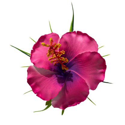Poara / Barrette à Cheveux Hibiscus