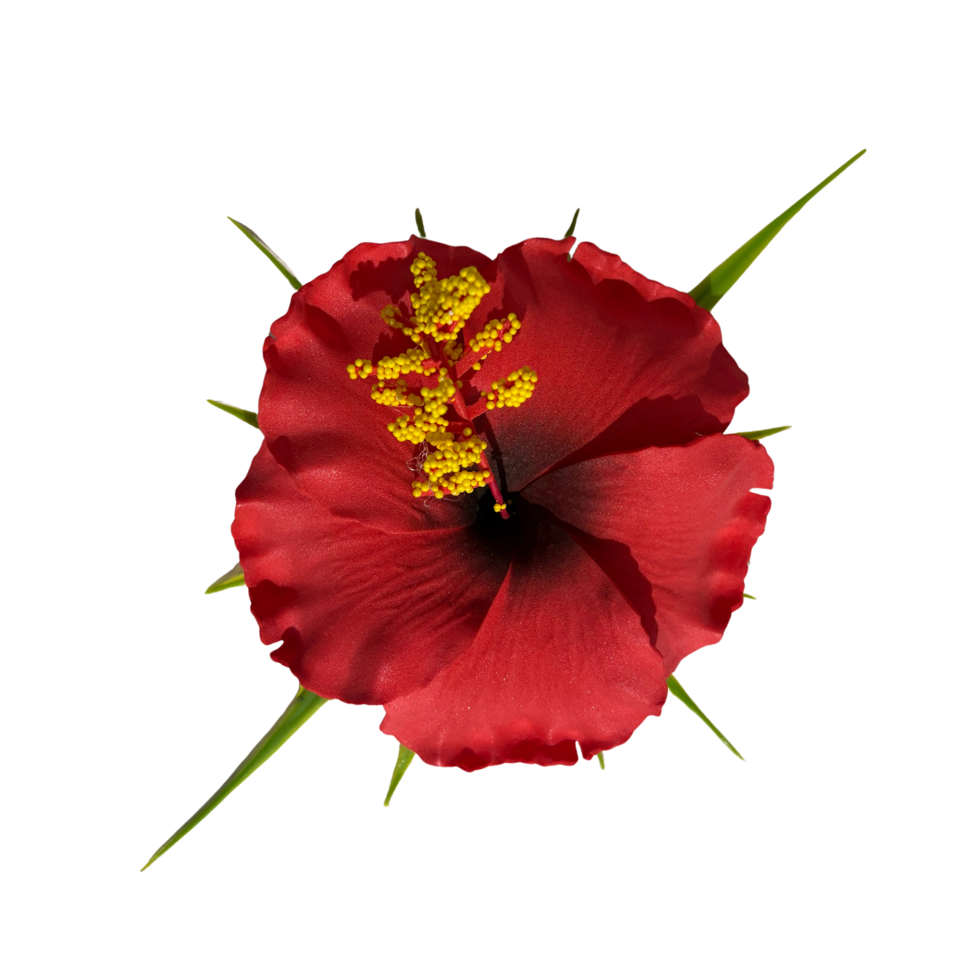 Poara / Barrette à Cheveux Hibiscus
