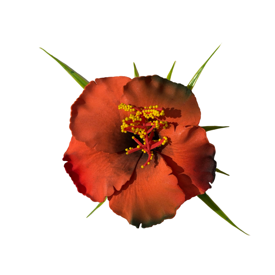 Poara / Barrette à Cheveux Hibiscus