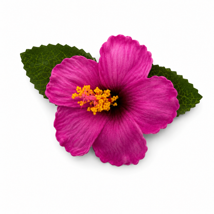 Pince à cheveux - 1 Hibiscus