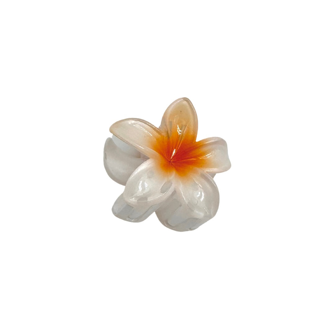 Pince Fleur en Plastique 5cm