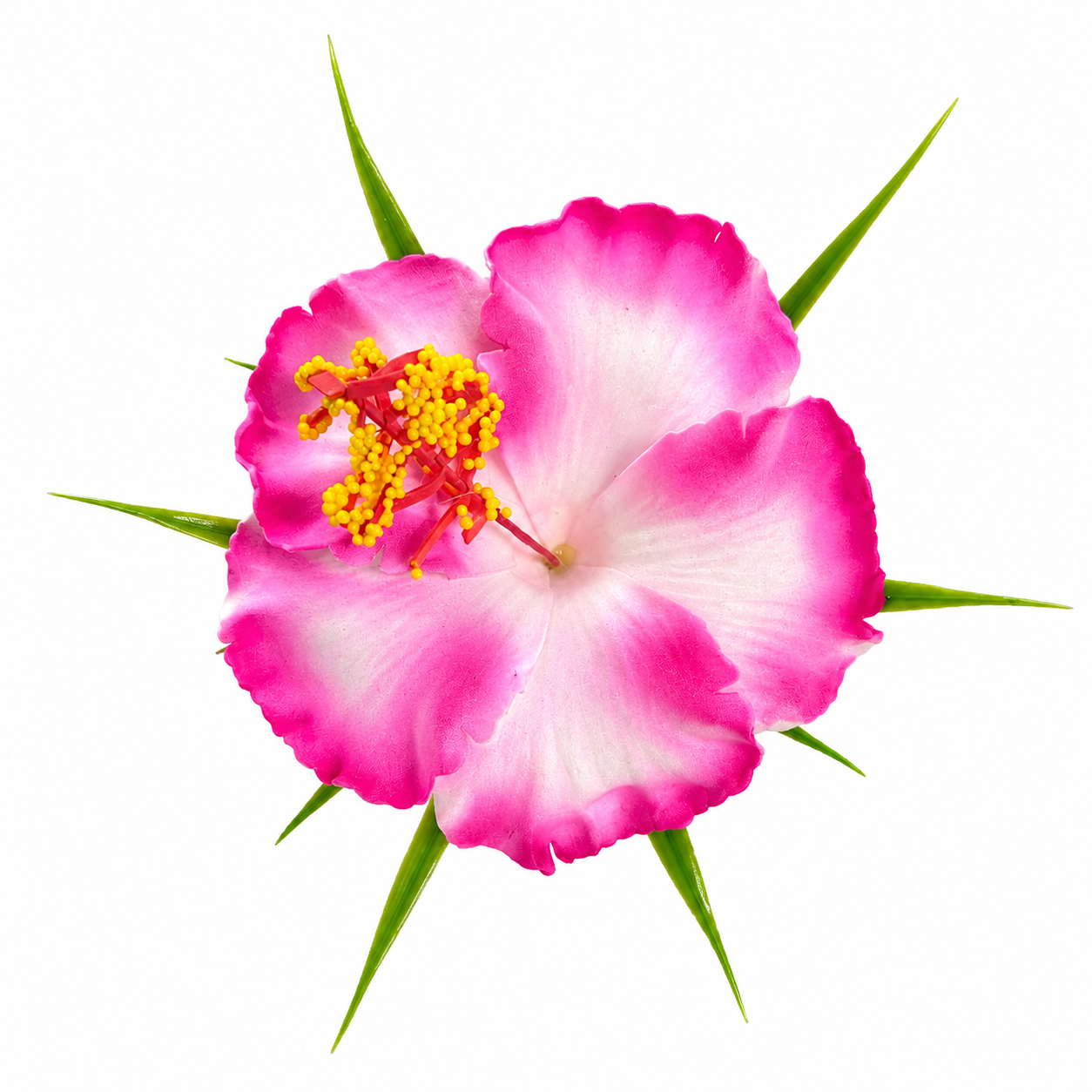 Poara / Barrette à Cheveux Hibiscus - HPF