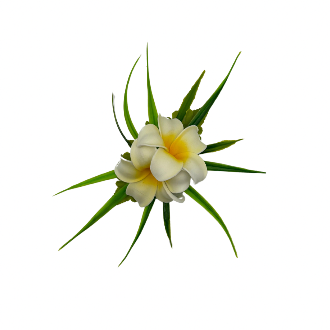 Poara / Petite barrette à cheveux - Frangipanier