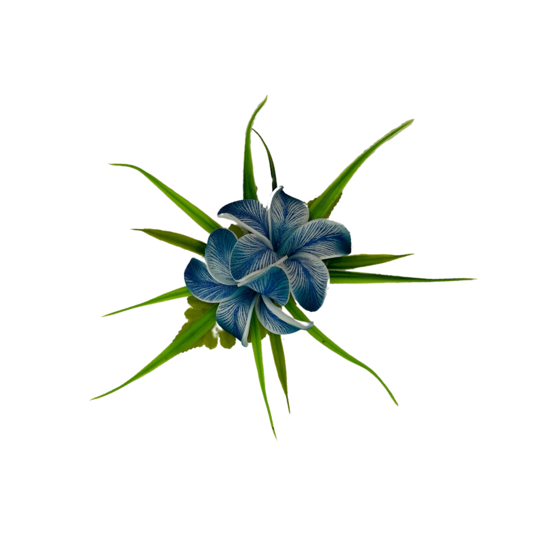 Poara / Petite barrette à cheveux - Frangipanier