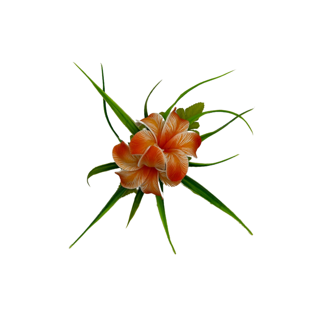 Poara / Petite barrette à cheveux - Frangipanier