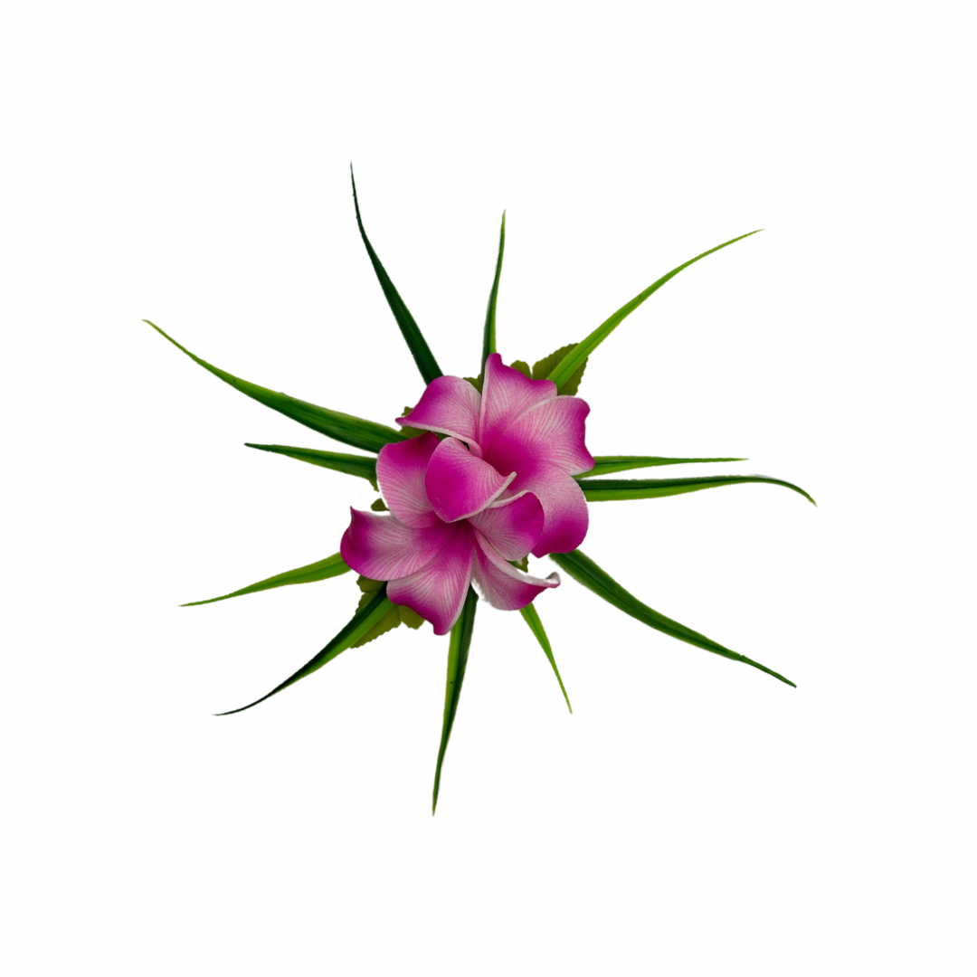 Poara / Petite barrette à cheveux - Frangipanier