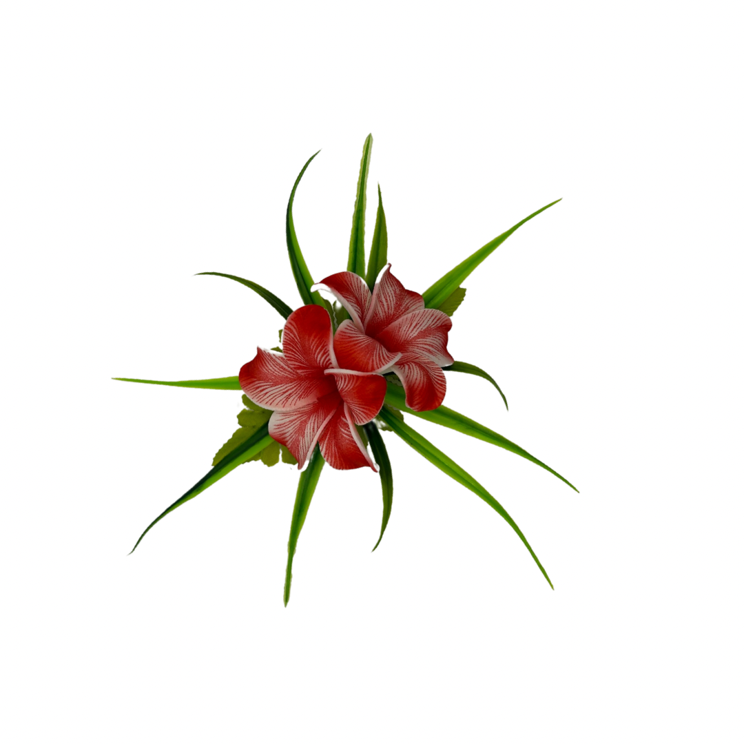 Poara / Petite barrette à cheveux - Frangipanier