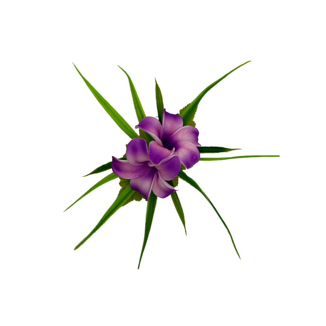Poara / Petite barrette à cheveux - Frangipanier