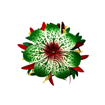 Poara / Barrette à cheveux - Tiare Tahiti à motifs - GPM