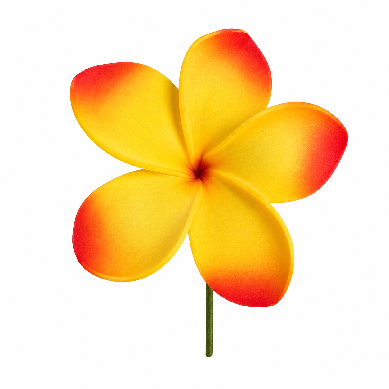 Fleur à tige - Frangipanier - FRC0
