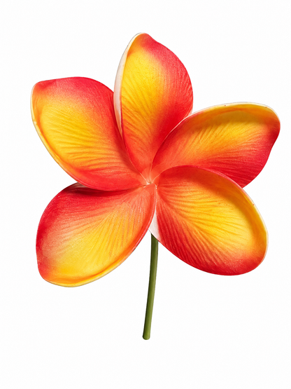 Fleur à tige - Frangipanier avec Stries- FRD0