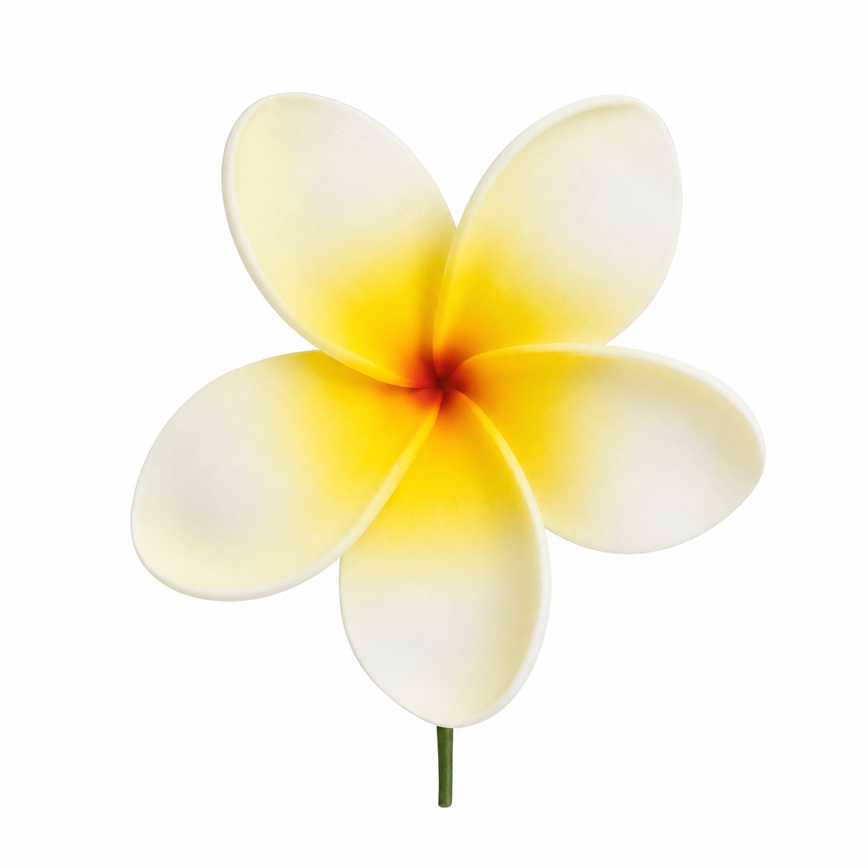 Fleur à tige - Frangipanier - FRC0