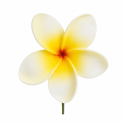 Fleur à tige - Frangipanier - FRC0