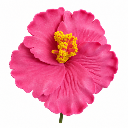 Fleur à tige -  Hibiscus HIC0