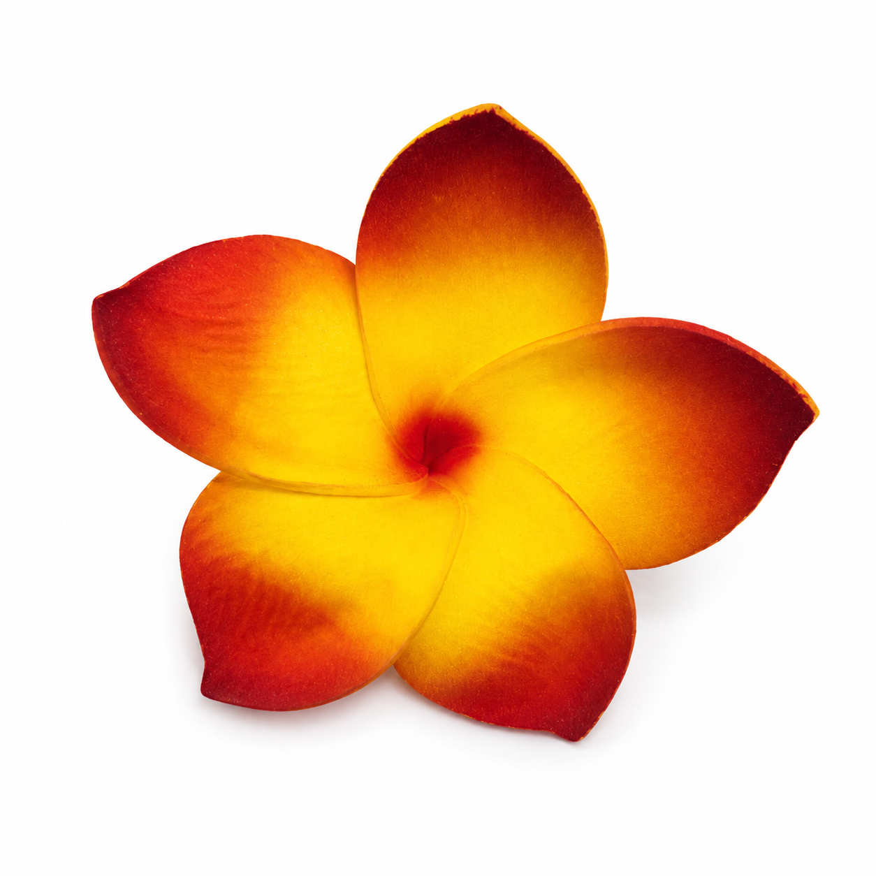 Fleur à tige - Frangipanier P0