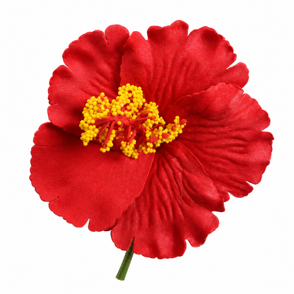 Fleur à tige -  Hibiscus HIC0