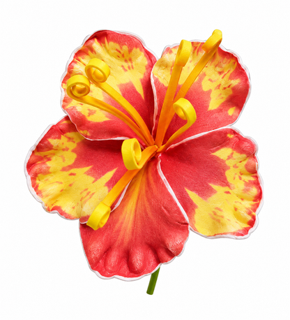Fleur à tige - Fleur de Flamboyant 9 cm _ FBA0