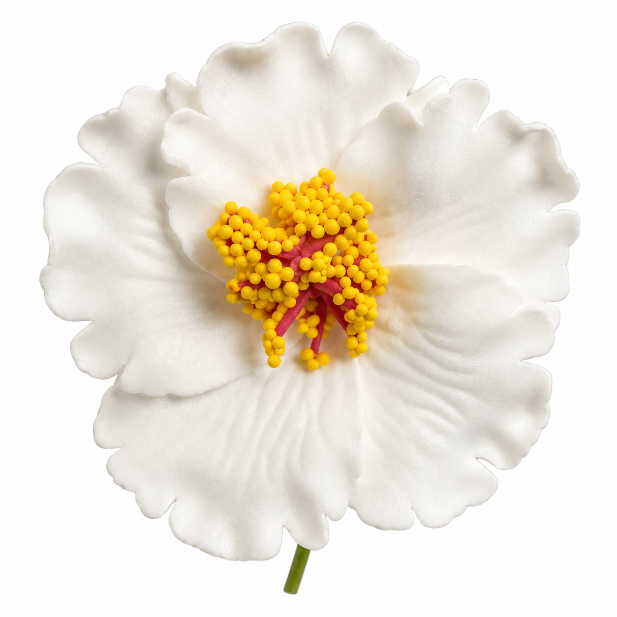 Fleur à tige -  Hibiscus HIC0