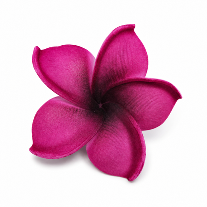 Fleur à tige - Frangipanier P0