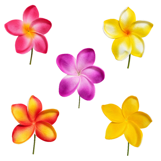 Fleur à tige - Frangipanier avec Stries- FRD0