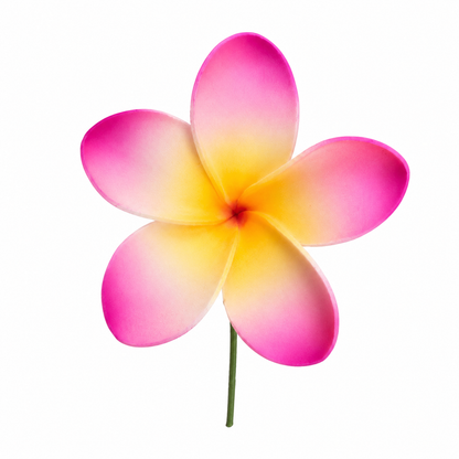 Fleur à tige - Frangipanier - FRC0