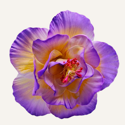 Fleur à tige - Hibiscus 11 cm _ HIB0